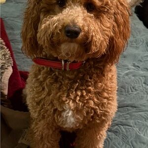 Shipping label for extra postage.